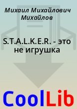 Книга - Михаил Михайлович Михайлов - S.T.A.L.K.E.R. - это не игрушка (fb2) читать без регистрации