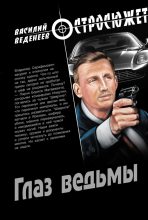 Книга - Василий Владимирович Веденеев - Глаз ведьмы (fb2) читать без регистрации