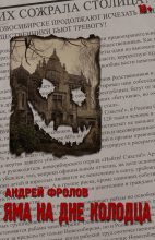 Книга - Андрей Евгеньевич Фролов - Яма на дне колодца (ознаком) (fb2) читать без регистрации