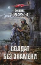Книга - Борис Николаевич Громов - Солдат без знамени (fb2) читать без регистрации