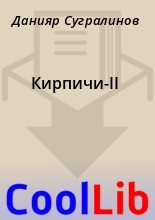 Книга - Данияр  Сугралинов - Кирпичи-II (fb2) читать без регистрации