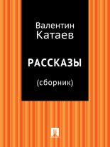 Книга - Валентин Петрович Катаев - Рассказы (fb2) читать без регистрации