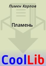 Книга - Пимен  Карпов - Пламень (fb2) читать без регистрации