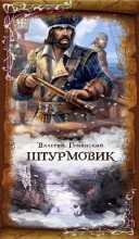 Книга - Валерий Михайлович Гуминский - Штурмовик (fb2) читать без регистрации