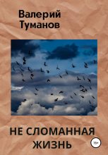 Книга - Валерий Петрович Туманов - Не сломанная жизнь (fb2) читать без регистрации