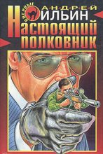 Книга - Андрей Александрович Ильичев (Ильин) - Настоящий полковник (fb2) читать без регистрации