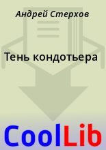 Книга - Андрей  Стерхов - Тень кондотьера (fb2) читать без регистрации