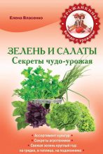 Книга - Елена  Власенко - Зелень и салаты. Секреты чудо-урожая (fb2) читать без регистрации