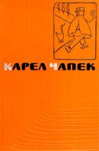 Книга - Карел  Чапек - Дашенька, или История щенячьей жизни (fb2) читать без регистрации