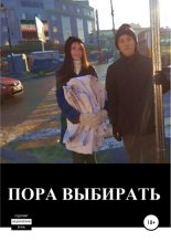Книга - Макар  Авдеев - Пора выбирать (fb2) читать без регистрации