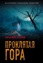 Книга - Виталий Михайлович Егоров - Проклятая гора (fb2) читать без регистрации