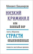 Книга - Михаил Викторович Башкиров - Банный вор (fb2) читать без регистрации