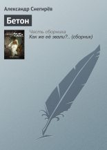 Книга - Александр  Снегирев - Бетон (fb2) читать без регистрации