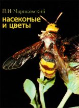 Книга - Павел Иустинович Мариковский - Насекомые и цветы (fb2) читать без регистрации