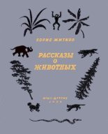 Книга - Борис Степанович Житков - Рассказы о животных (pdf) читать без регистрации