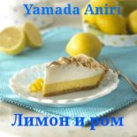 Книга - Aniri  Yamada - Лимон и ром (СИ) (fb2) читать без регистрации