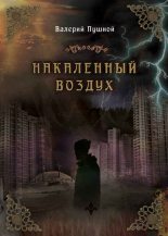 Книга - Валерий Александрович Пушной - Накаленный воздух (fb2) читать без регистрации