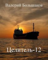 Книга - Валерий Петрович Большаков - Целитель 12 (СИ) (fb2) читать без регистрации