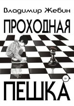 Книга - Владимир Анатольевич Жебин - Проходная пешка (fb2) читать без регистрации