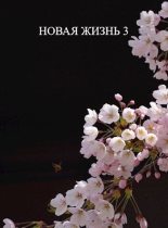 Книга - Виталий  Хонихоев - Новая жизнь 3 (СИ) (fb2) читать без регистрации