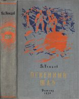 Книга - Владимир Иванович Немцов - Огненный шар (fb2) читать без регистрации