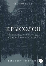Книга - Виктор  Новиков - Крысолов (fb2) читать без регистрации