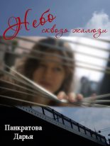 Книга - Дарья Евгеньевна Панкратова - Небо сквозь жалюзи (fb2) читать без регистрации
