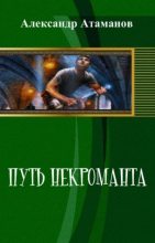 Книга - Александр  Атаманов - Путь Некроманта (fb2) читать без регистрации
