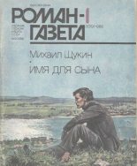 Книга - Михаил Николаевич Щукин - Имя для сына (fb2) читать без регистрации