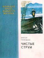 Книга - Виктор Михайлович Пожидаев - Чистые струи (fb2) читать без регистрации