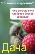 Книга - Илья  Мельников - Что можно вырастить Что делать, если плодовое дерево заболело (fb2) читать без регистрации
