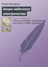 Книга - Елена Вячеславовна Нестерина - Акции небесного электричества (fb2) читать без регистрации