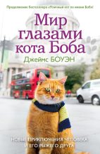 Книга - Джеймс  Боуэн - Мир глазами кота Боба. Новые приключения человека и его рыжего друга (fb2) читать без регистрации