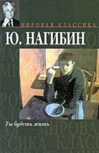 Книга - Юрий Маркович Нагибин - Любимый ученик (fb2) читать без регистрации