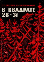 Книга - Георгий Георгиевич Светлов - „В квадрате 28-31“ (fb2) читать без регистрации