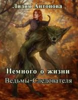 Книга - Лидия  Антонова - Немного о жизни Ведьмы-Следователя [СИ] (fb2) читать без регистрации