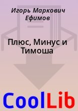 Книга - Игорь Маркович Ефимов - Плюс, Минус и Тимоша (fb2) читать без регистрации