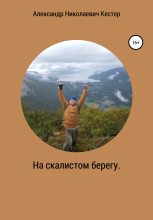 Книга - Александр Николаевич Кестер - На скалистом берегу (fb2) читать без регистрации