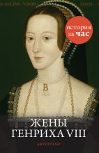 Книга - Джули  Уилер - Жены Генриха VIII (fb2) читать без регистрации