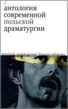 Книга - Марек  Модзелевский - Коронация (fb2) читать без регистрации