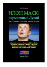 Книга - Олег Владимирович Ермаков - Илон Маск: окрыленный Луной (pdf) читать без регистрации