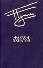 Книга - Георгий Дмитриевич Гулиа - Чудак (fb2) читать без регистрации