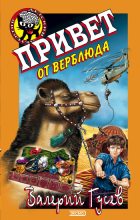 Книга - Валерий Борисович Гусев - Привет от верблюда (fb2) читать без регистрации