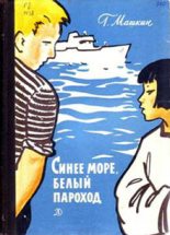 Книга - Геннадий Николаевич Машкин - Синее море, белый пароход (fb2) читать без регистрации