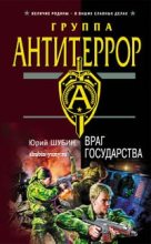 Книга - Юрий  Шубин - Враг государства (fb2) читать без регистрации
