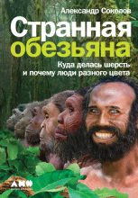 Книга - Александр Борисович Соколов - Странная обезьяна (fb2) читать без регистрации