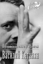 Книга - Василий Васильевич Катанян - Прикосновение к идолам (fb2) читать без регистрации