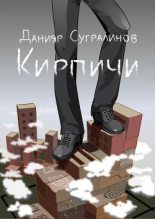 Книга - Данияр  Сугралинов - Кирпичи (самиздат) (fb2) читать без регистрации