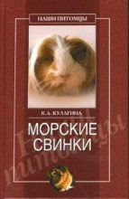 Книга - Кристина Александровна Кулагина - Морские свинки (fb2) читать без регистрации