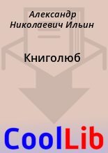 Книга - Александр Николаевич Ильин - Книголюб (fb2) читать без регистрации